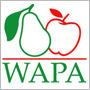 illustratie van peer en appel logo