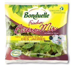 bonduelle bistro mix 250