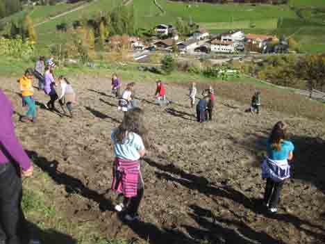 suedtirol Apfelliebe project ansaeen