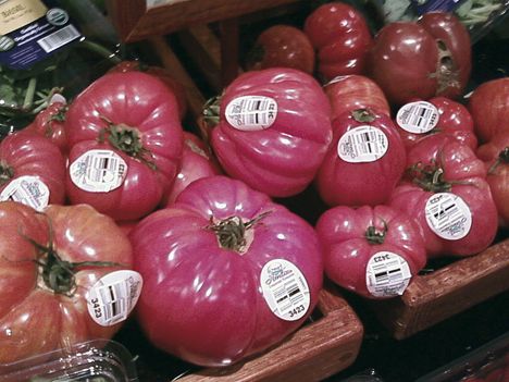 foto groot van tomaten met label gs1