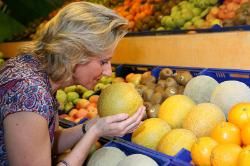 bild galia meloen in winkel