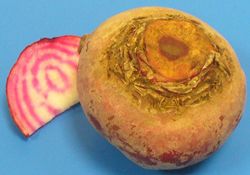 foto van ble van de franse ring biet