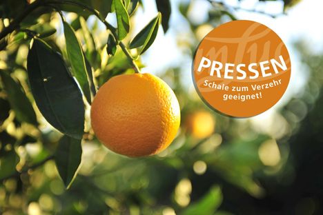 foto groot van citrus aan boom