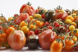 berg tomaten van verschillende soorten