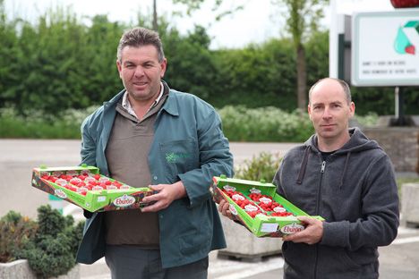 telers frambozen en wilde bos aardbeien