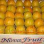 doos fruit greece met logo