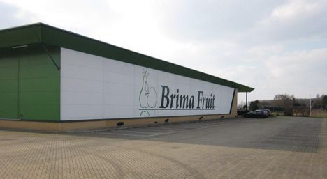 Afbeeldingsresultaat voor brima fruit