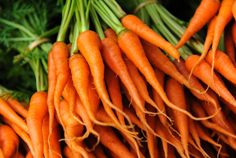 Italien: Emilia-Romagna erlebt Karotten-Krise