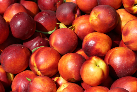 Spanien: Fruchtexporte von Murcia nach China 228% gestiegen
