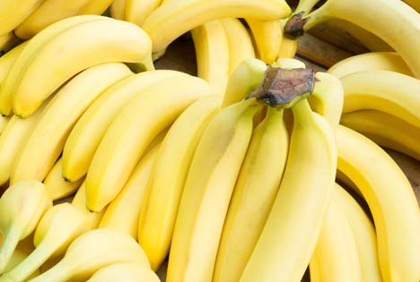 Mexiko: Banane von Michoacán erobert den europäischen Markt
