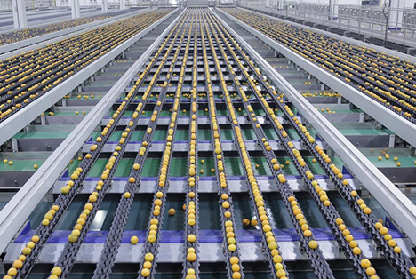 Compac stärkt seine UK-Position durch Partnerschaft mit Xact