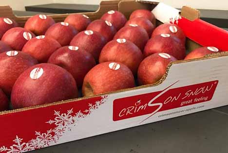 Crimson Snow®: #happygrower im Rampenlicht der Fruit Logistica 2017