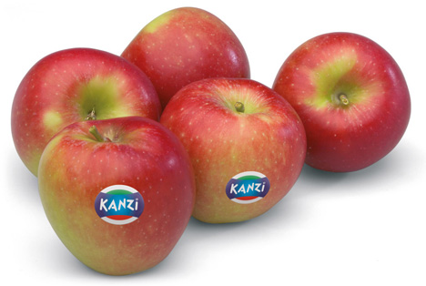 Neue Kanzi®-Ernte: Äpfel in Top-Qualität - Grünes Licht für den roten Apfel!