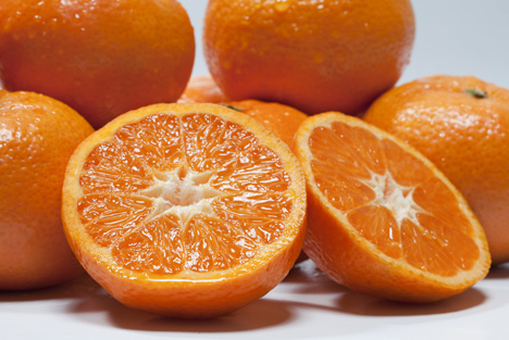 Clemcott erweckt Interesse im Bereich Zitrusfrüchte auf der Fruit Logistica 2017