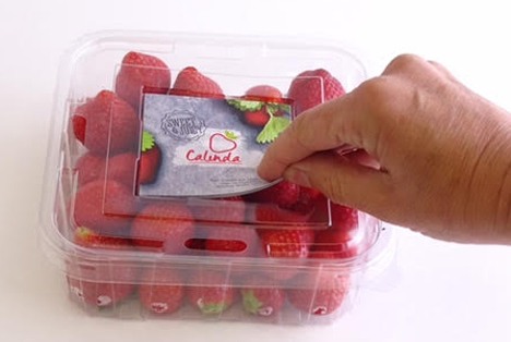 Special Fruit: Calinda wird mit neuer und innovativer Verpackung die Show stehlen