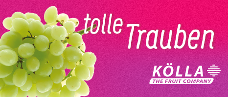 Koella