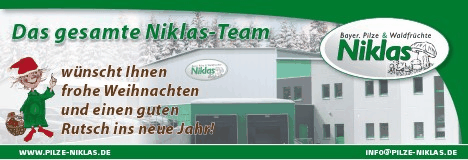 Niklas Pilze