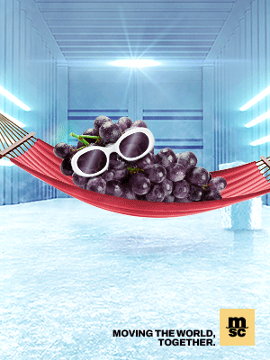 MSC MEDITERRANEAN SHIPPING COMPANY S.A