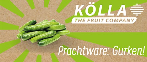 Koella