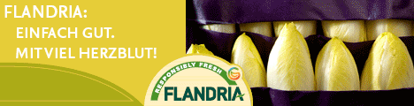 Flandria- VLAM