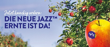 Enzafruit - Jazz