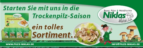 Niklas Pilze