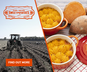 North Carolina Sweetpotatoes