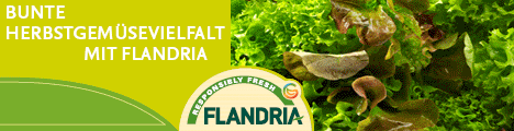 Flandria- VLAM