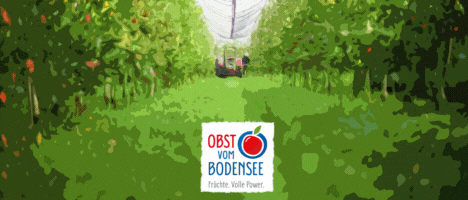 Obst vom Bodensee