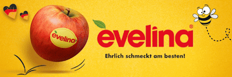 Evelina