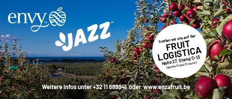 Enzafruit - Jazz