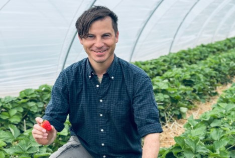 Landgard: Pünktlich zum Mai startet im Westen flächendeckend die Ernte von Erdbeeren im Tunnelanbau