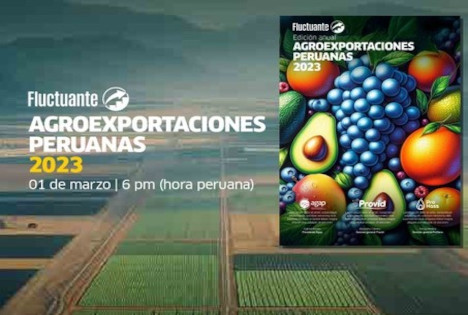 Digitales Forum für peruanische Agrarexporte