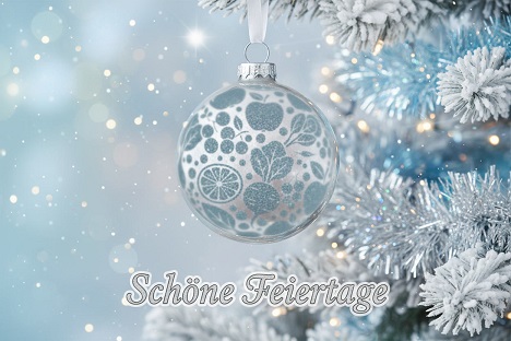 Frohe Weihnachten und ein gutes neues Jahr