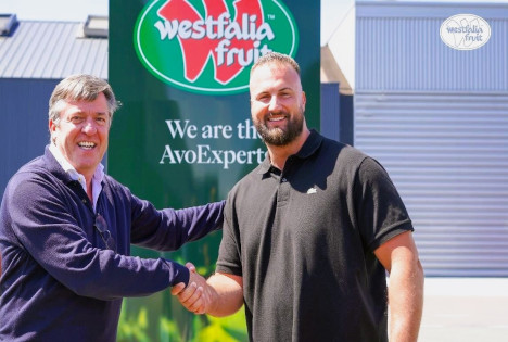 Westfalia Fruit übernimmt Hollands Foodservice-Spezialisten Greenpoint Trading