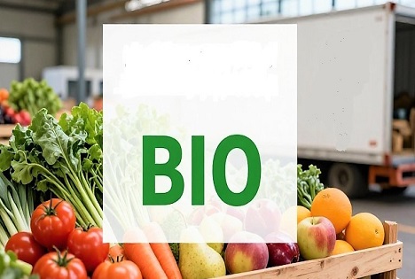 Bio-O&G aus Drittländern: DFHV Frische Seminar-Webinar beleuchtet Änderungen im Importsystem