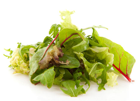 Bildquelle: Shutterstock.com Geschnitten Salat