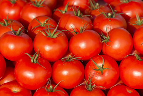 Bildquelle: Shutterstock.com Tomaten