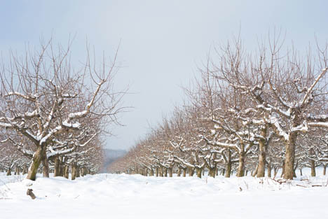 Bildquelle: Schnee