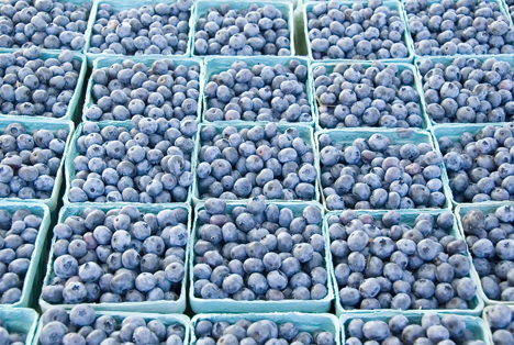 Blaubeeren