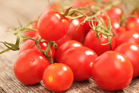 Bildquelle: Shutterstock.com Tomaten