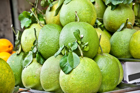 USDA schlägt Änderungen für erleichterten Handel mit Floridas Zitrusertrag vor
