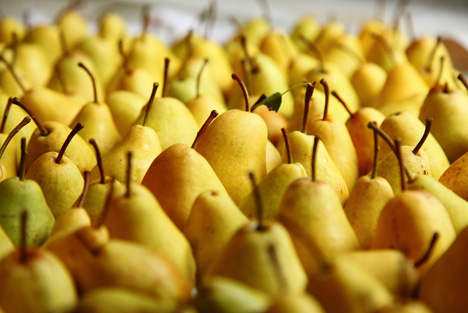 Niederländische Birnen und Äpfel bekommen Marktzugang in Kolumbien