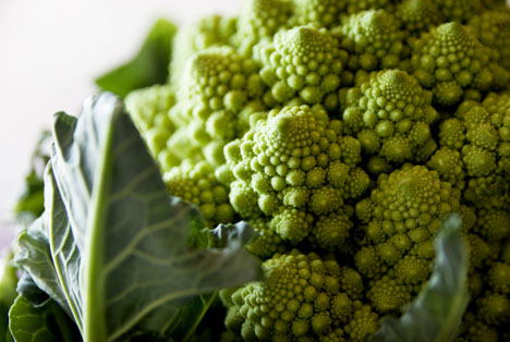 Bildquelle: Shutterstock.com Romanesco