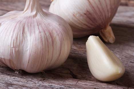 Bildquelle: Shutterstock.com Knoblauch