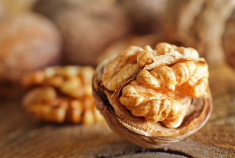 Bildquelle: Shutterstock.com Walnuts