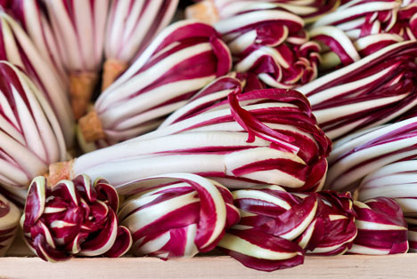 Bildquelle: Shutterstock.com Gemuese Radicchio