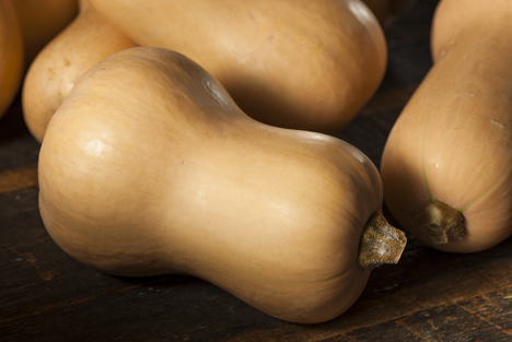 Bildquelle: Shutterstock.com Butternut