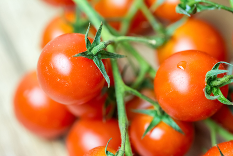 Bildquelle: Shutterstock.com Tomaten