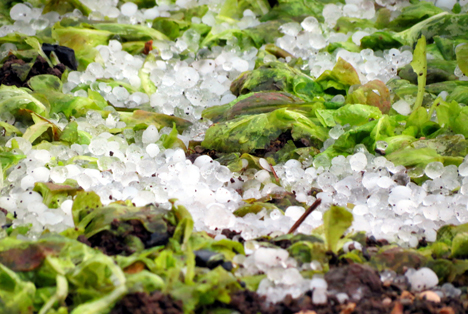 Bildquelle: Shutterstock.com Sturm hagel